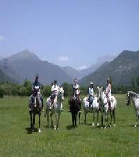 Las mejores ofertas de Los Acebos Sarvise